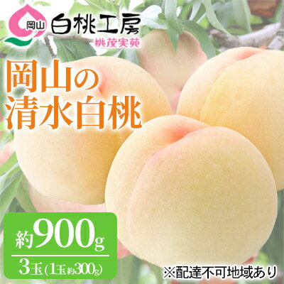 【ふるさと納税】桃 2027年 先行予約 清水白桃 3玉 合計約900g（1玉約300g） 白桃 もも モモ 岡山県産 国産 フルーツ 果物 ギフト 桃茂実苑 果肉 　お届け：2027年7月中旬～2027年8月上旬