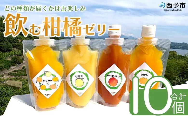 ＜つるんと食感の飲む柑橘ゼリー 10個＞『1か月以内に順次発送予定』果物ゼリー くだもの ゼリー パウチ みかん 蜜柑 デザート スイーツ おやつ のむ ストレート 果汁 100％ 食感 ぷるぷる お楽しみ 渡江から一歩を踏み出す会 愛媛県 西予市 【常温】ATI0051