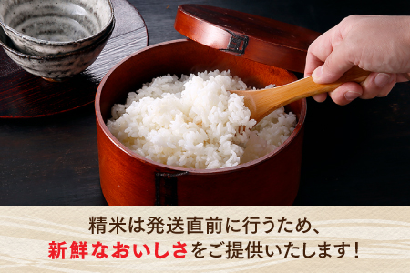 B393.立花山で育てた九州のブランド米・味くらべセット一升五合×3（6.75キロ）