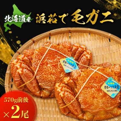 ふるさと納税 斜里町 北海道産　浜茹で毛ガニ　570g前後×2尾