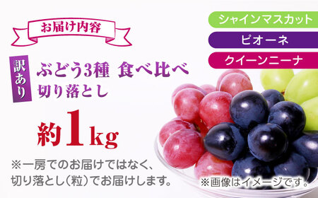 【先行予約】訳あり ぶどう3種 食べ比べ 切り落とし 計約1kg  【合同会社 社方園】ぶどう 詰め合わせ  セット 食べ比べ 熊本 シャインマスカット ピオーネ クイーンニーナ 訳ありぶどう ぶどう