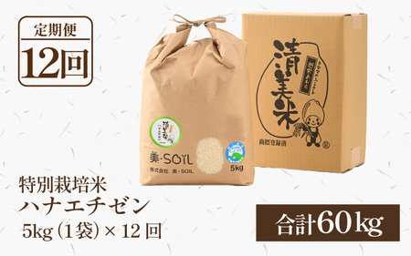【令和5年産】《定期便》5kg×12回 60kg 特別栽培米 ハナエチゼン 無洗米 低農薬 《食味値85点以上！こだわり極上無洗米》 / 福井県 あわら 北陸 米 お米 人気 