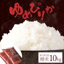 【ふるさと納税】新米【令和6年度産】 ゆめぴりか 精米 10kg オンライン 申請 ふるさと納税 北海道 新十津川 北海道産 米 ブランド ブランド米 お米 北海道米 ご飯 ごはん ギフト 贈り物 新十津川町【1101302】