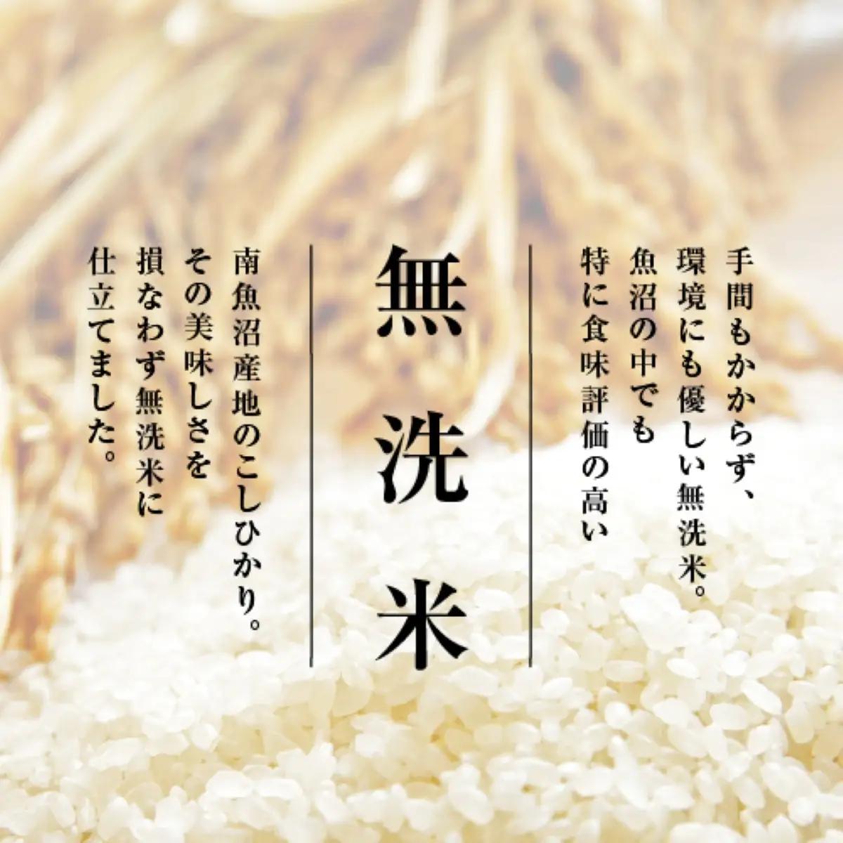 【令和7年　頒布会】南魚沼産こしひかり無洗米2kg×全12回 | 米
