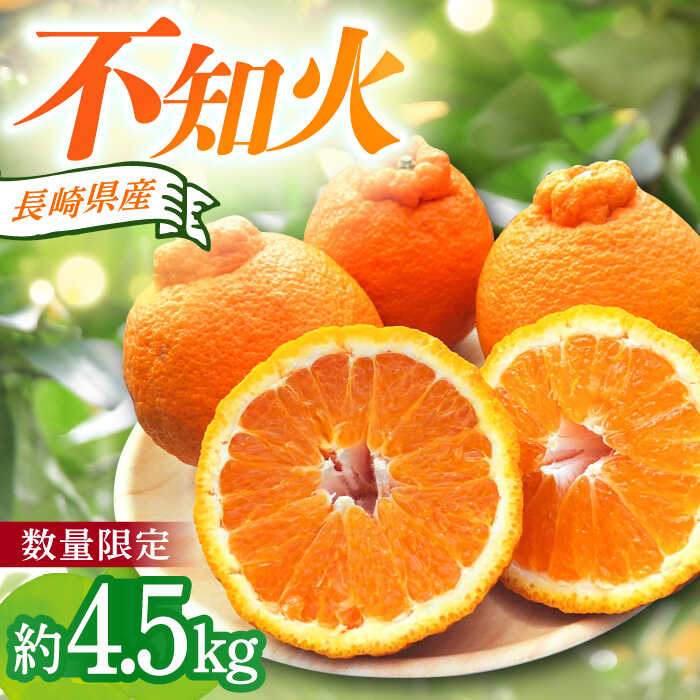 【ふるさと納税】【2025年4月中旬発送開始】長崎県産 不知火 約4.5kg / 果物 フルーツ 柑橘 しらぬい / 大村市 / かとりストアー[ACAN005]