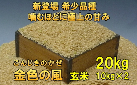 新米 新登場の高級米 令和8年産 岩手県奥州市産 金色の風 玄米20kg [AC034]