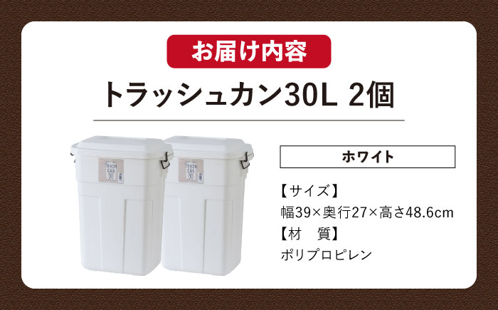 トラッシュカン ゴミ箱 ふた付き 30L ホワイト 2個組 / ダストボックス ゴミ箱 ごみ箱 / 恵那市 / 東谷株式会社 明智流通センター [AUAD069]