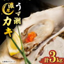 【ふるさと納税】【 着日指定可 冷蔵配送 】【西海市ランキング入り！】 うず潮 カキ 約3kg（約30～50個）＜西彼町漁協＞ [CBZ001] 長崎 西海 海鮮 かき 牡蠣 牡蠣小屋 BBQ バーベキュー レンジ 養殖 大村湾 名産 セット ナイフ付き 3kg 着日指定 日時指定 日付指定 冷蔵