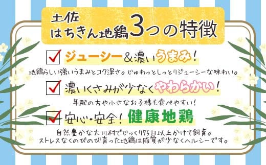 土佐はちきん地鶏 もも肉1kg＋手羽先1kgセット 地鶏 モモ肉 胸肉 鶏肉 とり肉 とりにく 肉 鶏モモ 鶏もも肉 もも肉 鶏 モモ チキン 食品 高知県 大川村 F6R-035