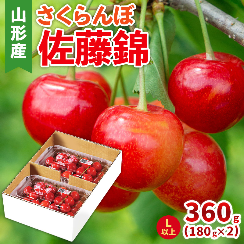さくらんぼ(佐藤錦) Lサイズ 360g(180g×2パック) 【令和8年産先行予約】FS25-044