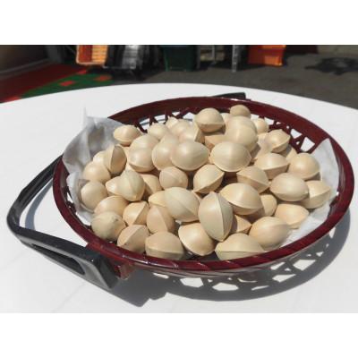 ふるさと納税 山辺町 【先行受付】殻付き銀杏 (ぎんなん)【L】 約1kg(200g×5パック) |  | 03