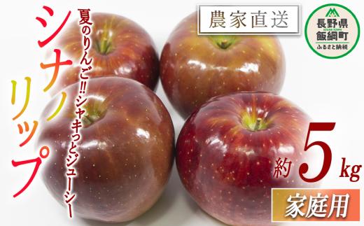 りんご シナノリップ 家庭用 5kg 渡辺農園 沖縄県への配送不可 2025年8月中旬頃から2025年8月下旬頃まで順次発送予定 令和7年度収穫分 エコファーマー認定 減農薬栽培 長野県 飯綱町 [0802]