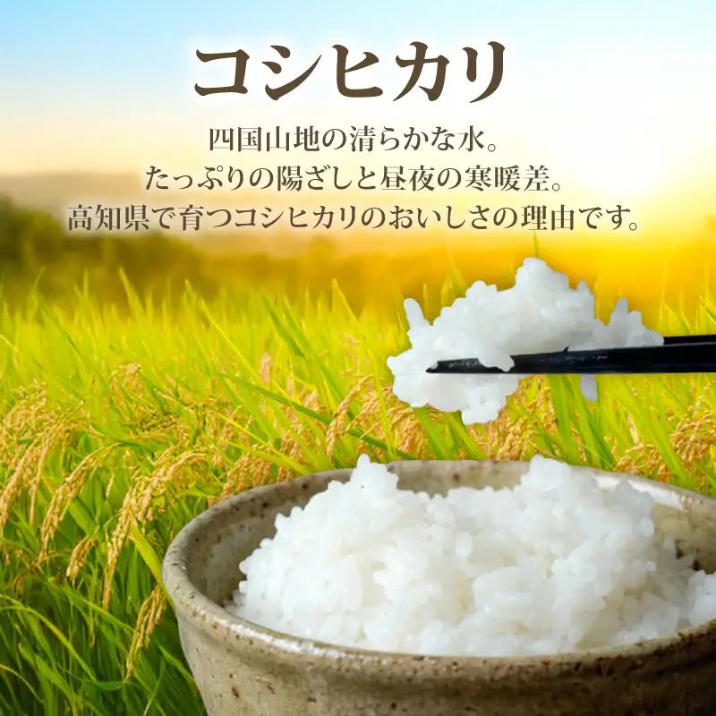 【令和8年度産】白米 コシヒカリ 10kg