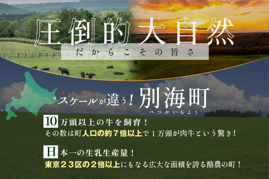 （4月発送分）別海和牛 ロースステーキ （250g×2）+ハンバーグ （140g×2）【別海和牛】