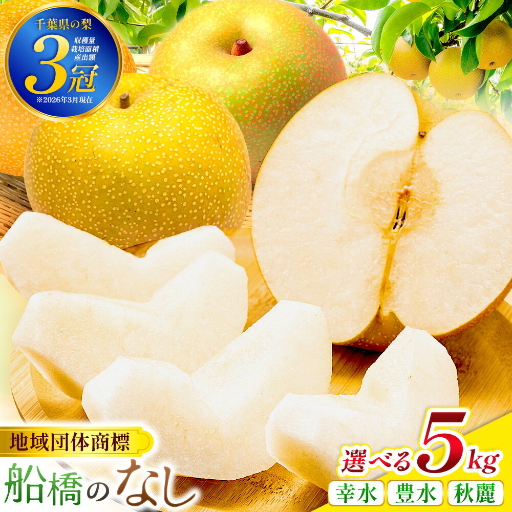 【ふるさと納税】先行予約 梨 なし 船橋のなし 幸水 豊水 秋麗 5kg おすすめ 千葉県 2026年発送 ※お届け日指定不可 い志い農園 予約
