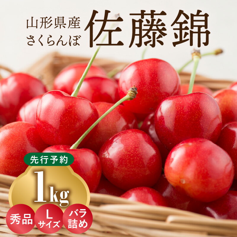 【ふるさと納税】《先行受付》さくらんぼ 佐藤錦 1kg 秀品 Lサイズ バラ詰め 【2025年6月中旬頃〜発送予定】【山形県産さくらんぼ】