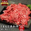 【ふるさと納税】牛肉 切り落とし 【地元ブランド】 くまもとあか牛 切落し 【選べる容量 300g もしくは 600g (300g×2パック) 】 あか牛 赤牛 和牛 牛 モモ肉 牛モモ 牛カタ バラ肉 牛バラ セット 食べ比べ 熊本県産 九州産 国産 冷凍 送料無料