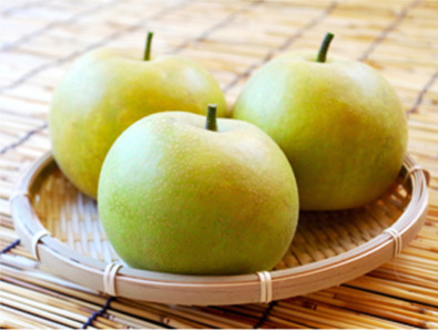 【2026年 先行予約】二十世紀梨 2kg 進物用｜鳥取 山根農園 梨 2026年収穫後【41063】