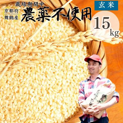 ふるさと納税 舞鶴市 令和8年産 棚田米 玄米 15kg 栽培期間中農薬不使用