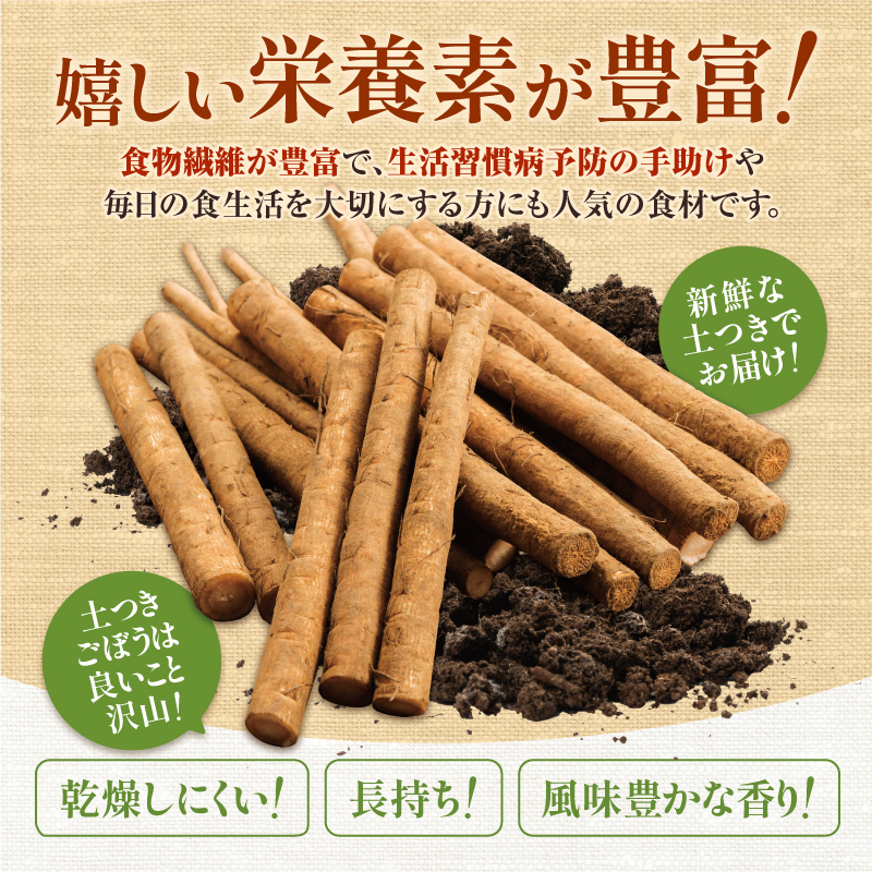 先行受付！2026年10月頃～発送開始！北海道十勝清水町産 秋堀り 新鮮 ごぼう！ 5kg 北海道産 ごぼう 土付ごぼう ゴボウ 根菜_S045-0003
