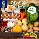 【ふるさと納税】【6回定期便(奇数月)】雲仙こだわり野菜セット 野菜・フルーツ8〜9品目＋太陽卵10個 詰め合わせ [吉岡青果 長崎県 雲仙市 item1827] 野菜 フルーツ 卵 セット 旬の野菜 レビューキャンペーン