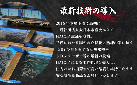 とらふぐ鍋 2~3人前 冷凍 ふぐ ID 