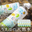 【ふるさと納税】うきは名水 うきはの天然水 (500ml×24本入り) ナチュラルミネラルウォーター