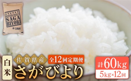 【全12回定期便】さがびより 白米 5kg【五つ星お米マイスター厳選】 [HBL021]特A評価 特A 特A米 米 定期便 お米 佐賀 コメ