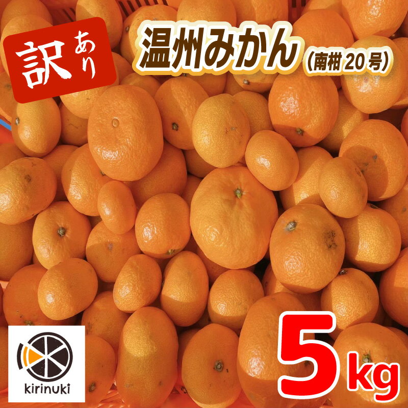【ふるさと納税】 【12月中旬から発送予定】 訳あり みかん 5kg | 温州みかん みかん 柑橘 訳あり みかん ミカン 柑橘 みかん 柑橘 5kg 愛媛県 松山市 送料無料