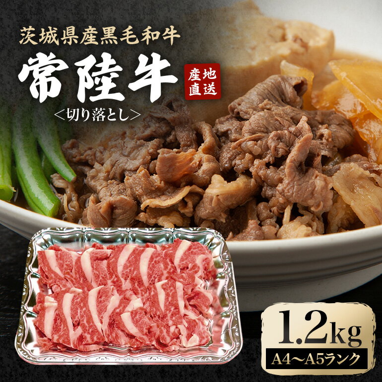 【ふるさと納税】 瑞穂農場で育てた常陸牛切り落とし 約1.2kg 冷凍配送 牛肉 ブランド牛 A4 A5 A4ランク A5ランク 茨城県 モモ ばら かた 赤身 霜降り 部位ミックス 国産 切り落とし 国産牛 柔らか 牛丼 肉じゃが 冷凍 【（株）フロンティアロード】 【ho0904】