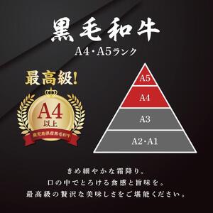 鹿児島県産和牛サーロインステーキ 200g×4枚