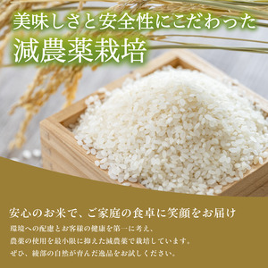 【令和7年産】 減農薬コシヒカリ 精米 3kg 白米
