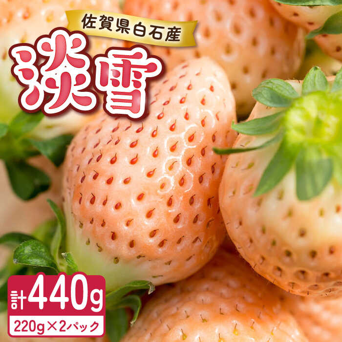 【ふるさと納税】【2026年発送分 先行予約】淡いピンクの白いちご「淡雪」220g×2パック / イチゴ 苺 フルーツ 果物 / 佐賀県 / 岸川農園 [41ASAG004]