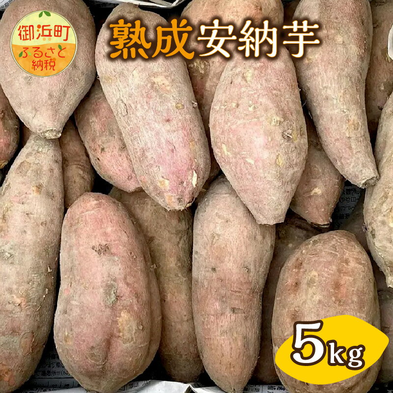 【ふるさと納税】ブライトライフ 熟成安納芋 5kg (生芋)【甘くて美味しい安納芋！】