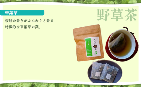 こだわりハーブティー 野草茶と野草袋 お試しセット NAAC001