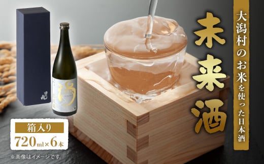 
            ＜箱入り＞未来酒～大潟村のお米を使った日本酒～4合瓶(720ml)×6本【1668255】
          