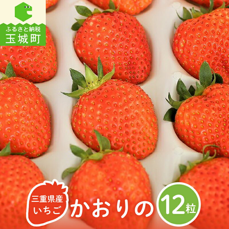【ふるさと納税】いちご 玉城産 かおりの 12粒 フルーツ ストロベリー デザート 香り 甘み ケーキ パーティー ギフト 果物 贈呈 箱入り 三重県 玉城町 東谷農園