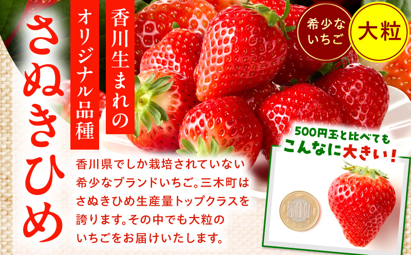 【先行予約】苺音スタンダードハーフ ～春の大粒のさぬきひめいちご～ 約425g | スイーツ いちご イチゴ ストロベリー さぬきひめ さぬき姫 苺 冷蔵 フルーツ 旬 果物 香川県 デザート 青果物