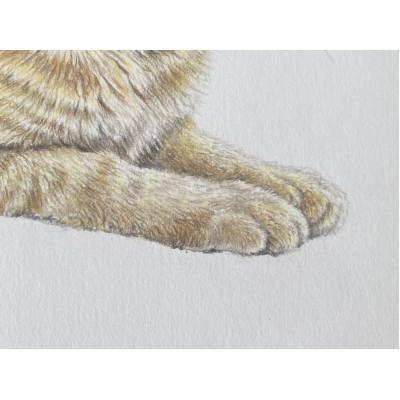 ふるさと納税 愛西市 ペット肖像画A4サイズ計1枚 |  | 01