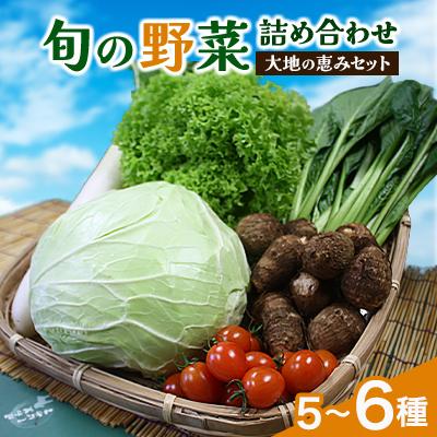 ふるさと納税 芝山町 【空の駅 風和里しばやま】旬野菜の詰め合わせ「大地の恵みセット」5〜6種