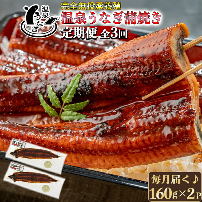 【ふるさと納税】＜定期便・全3回(連続)＞温泉うなぎ蒲焼 2尾（160gサイズ） ＜104-802＞