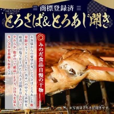 ふるさと納税 日置市 【数量限定】要望の多かった「とろさば&とろあじ開き」限定セット! 最大14枚【みのだ食品】 |  | 01