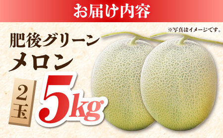 【先行予約】【数量限定】 肥後グリーンメロン 糖度16度以上 2玉 計約5kg【岡山農園】めろん メロン グリーンメロン 熊本メロン くまもとメロン 肥後グリーンメロン 国産メロン 高糖度メロン メロ