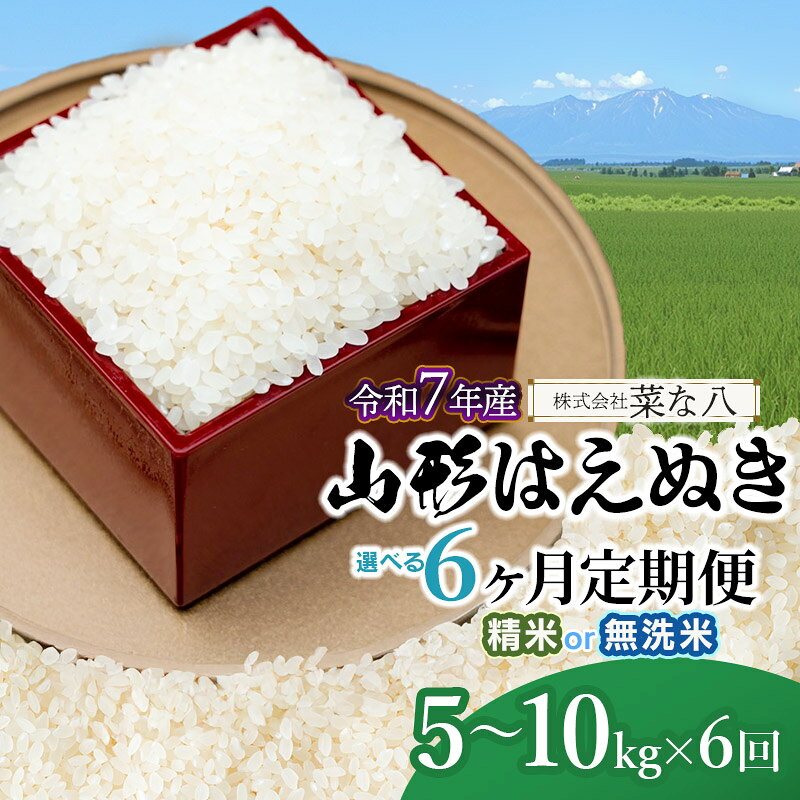 【ふるさと納税】【6ヶ月定期便】令和7年産　山形はえぬき　容量・精米種類お選びください［5～10kg・精米/無洗米］×6回　山形県庄内産 一等米 ごはんソムリエ監修
