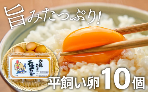 旨味たっぷりの平飼い卵 10個