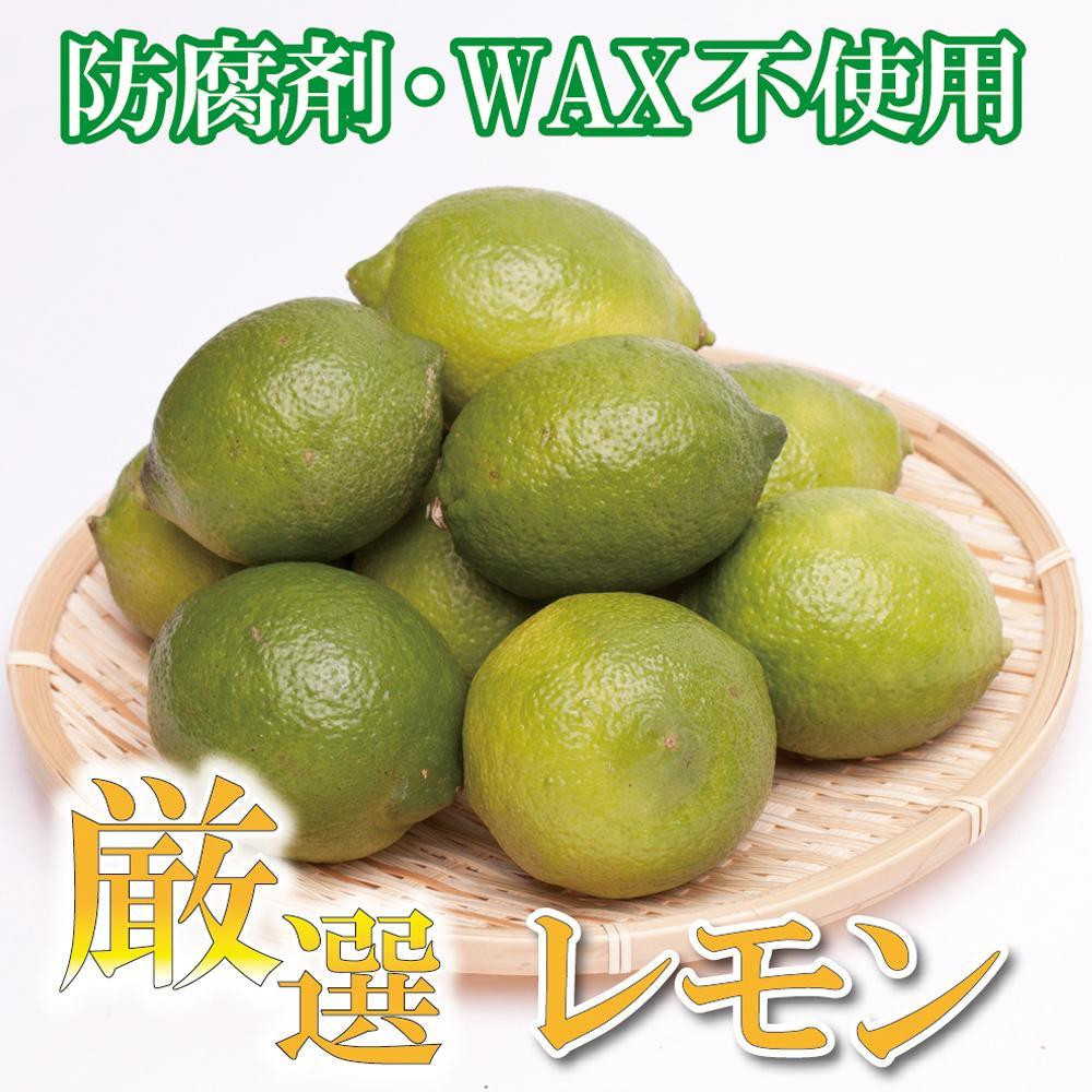 
＜9月より発送＞厳選 黒潮レモン2kg+60g（傷み補償分）【和歌山有田産】【防腐剤・WAX不使用、安心の国産レモン】
