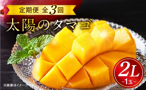 《2026年発送先行予約》【数量・期間限定】太陽のタマゴ2L1玉定期便　全3回_M153-T037