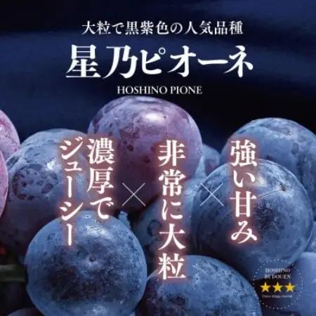 【訳あり】星乃ピオーネ 3房～5房(2kg以上)【配送不可地域：離島】【1740016】