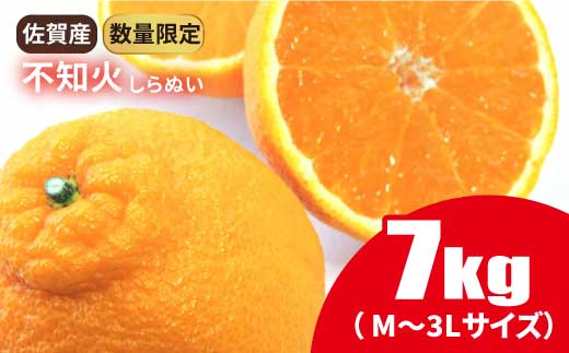 
            【果汁たっぷりジューシー】佐賀県産不知火（しらぬい） 7kg M～3Lサイズ【数量限定】 柑橘 [FBT020]
          