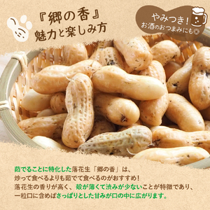 【2026年出荷分】北海道十勝芽室町 生落花生 茹で用 郷の香 1kg ( 500g ×2袋 ) さとのか 大粒 落花生 らっかせい 生らっかせい 生 豆 ピーナッツ ナッツ おやつ おつまみ つまみ
